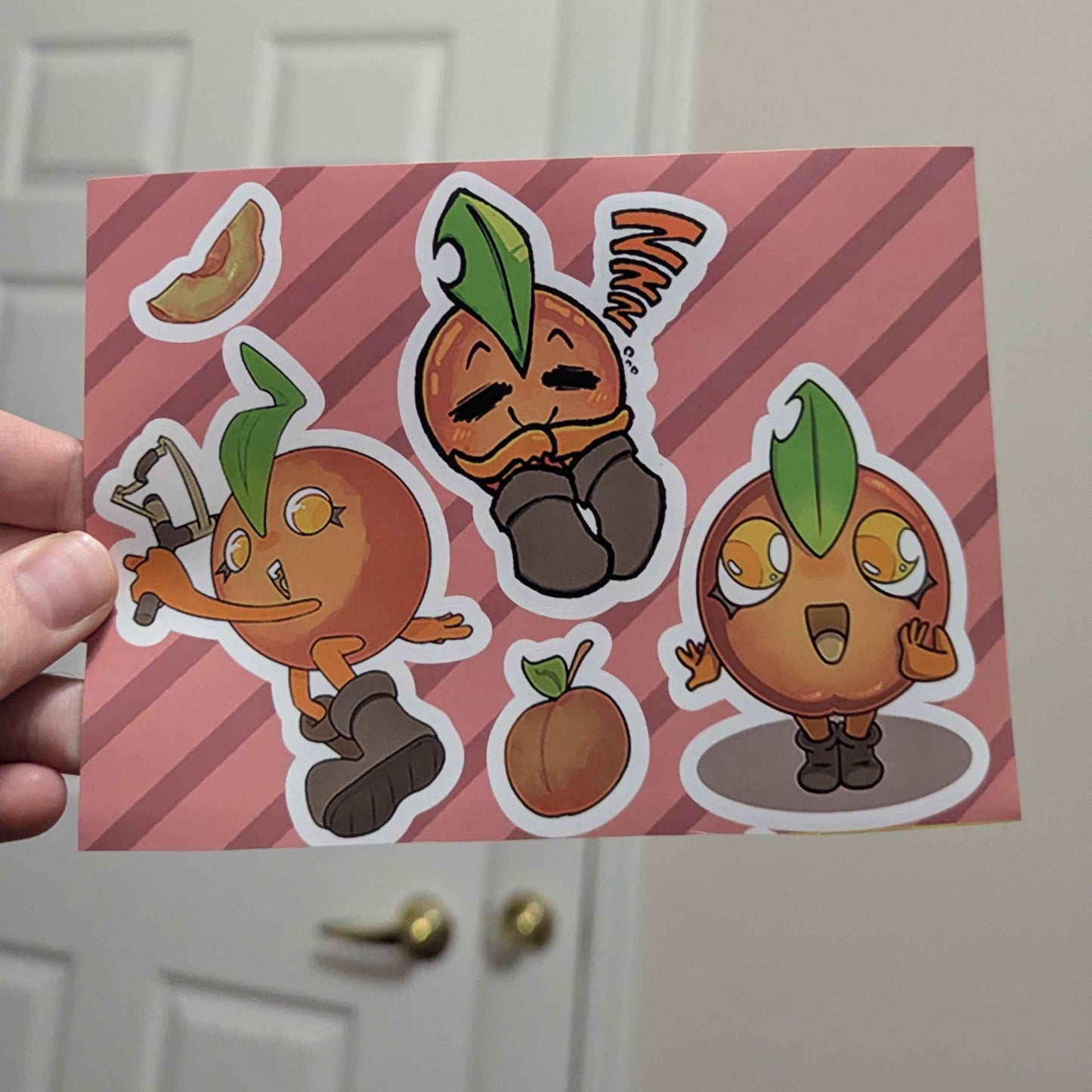 5 Pack Sticker Sheet Set!