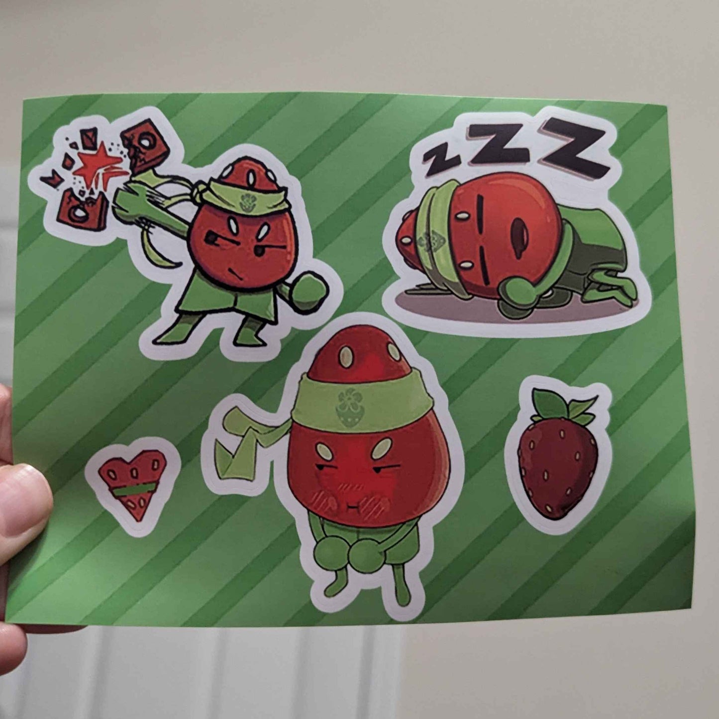 5 Pack Sticker Sheet Set!