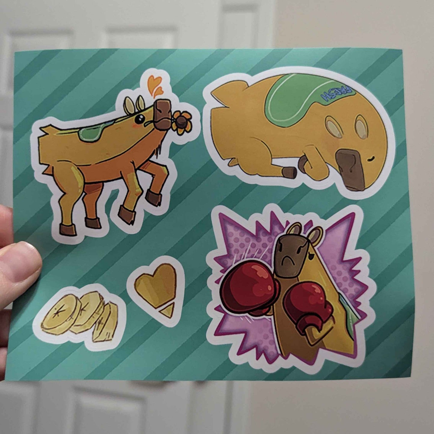5 Pack Sticker Sheet Set!