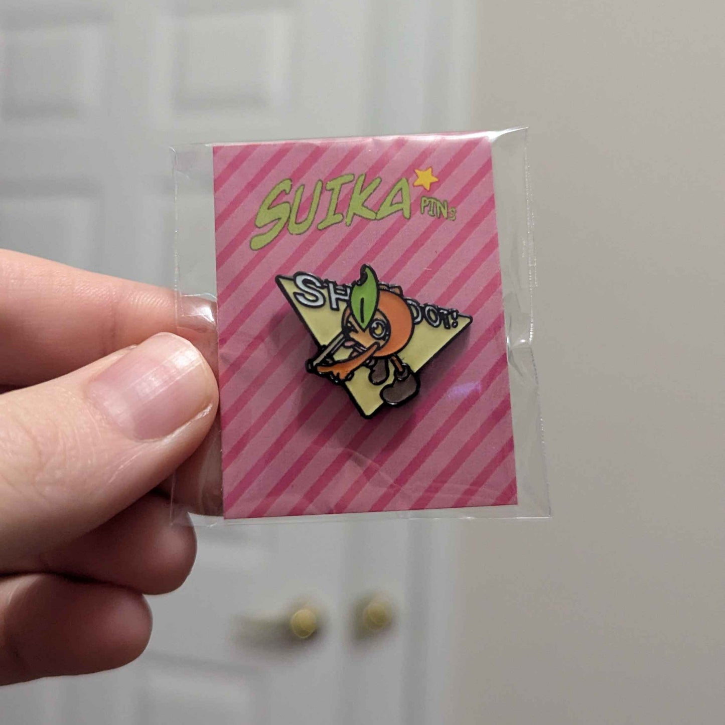 5 Pack of Pins!